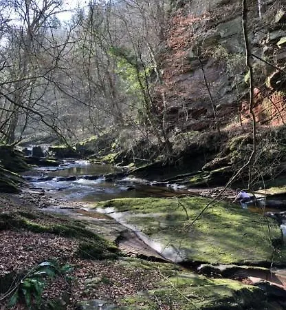 Zajazd String Of Horses Carlisle (Cumbria)