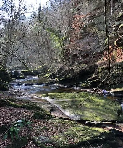 Inn String Of Horses Carlisle (Cumbria)