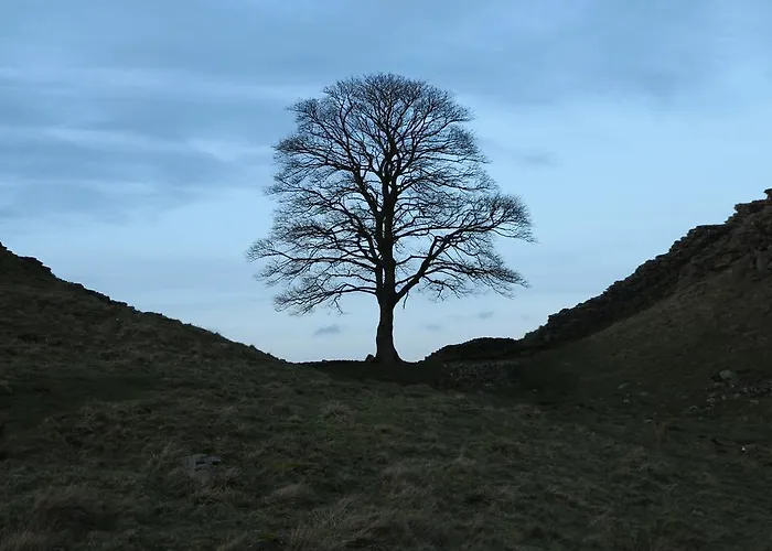 Inn String Of Horses 4*